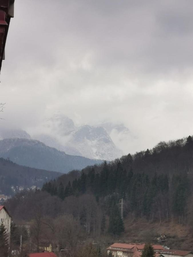 Ferienwohnung Apartament Panoramic View Sinaia Exterior foto
